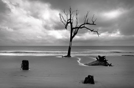 Hunting Island State Park
