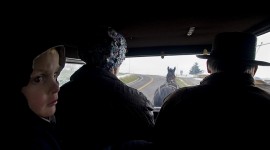 Buggy ride with the Mennonites