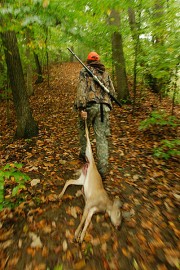 Bill the Hunter. Anne Arundel County, MD